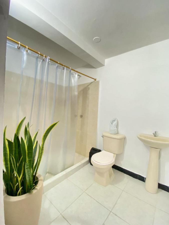 Hotel Casa Palermo Medellín Eksteriør bilde
